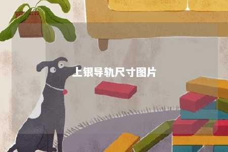 上银导轨尺寸图片 