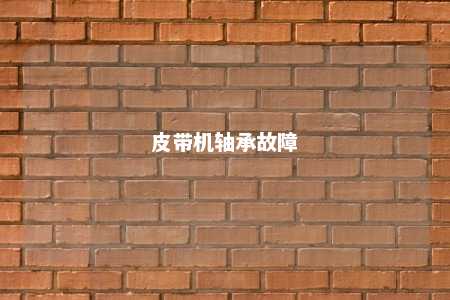 皮带机轴承故障 