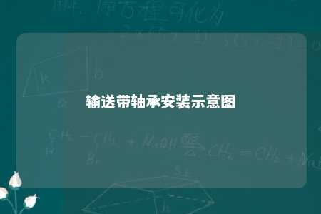 输送带轴承安装示意图 