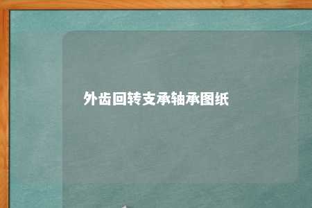外齿回转支承轴承图纸 